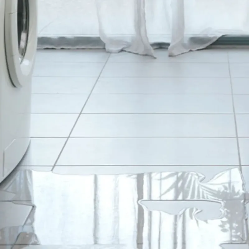 Appliance Leak Cleanup in Green Bay, WI