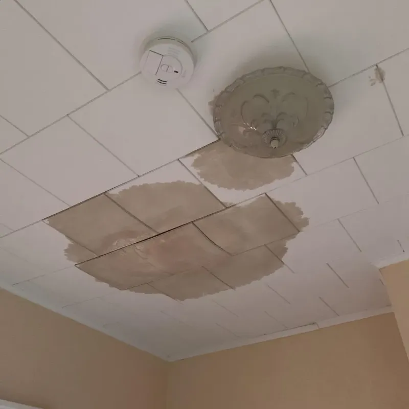 Ceiling Water Damage Repair in Green Bay, WI