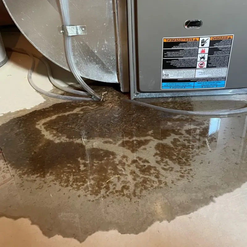 Pipe Burst and Leak Restoration in Green Bay, WI
